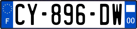 CY-896-DW