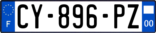 CY-896-PZ