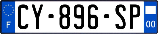 CY-896-SP