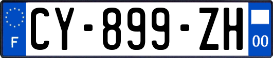 CY-899-ZH
