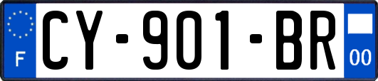 CY-901-BR