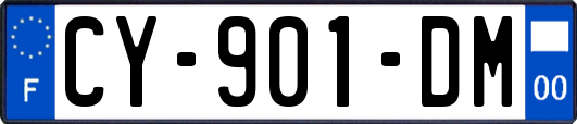 CY-901-DM