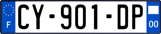 CY-901-DP