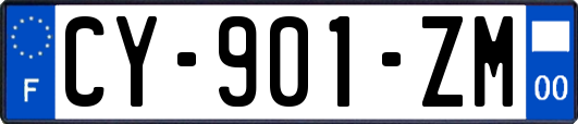CY-901-ZM