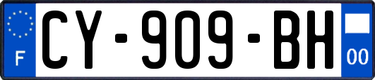 CY-909-BH