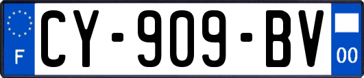CY-909-BV
