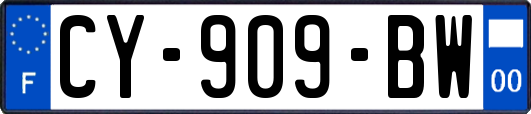 CY-909-BW