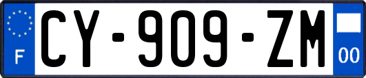CY-909-ZM