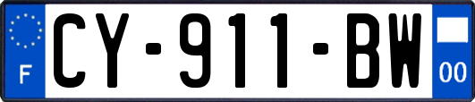 CY-911-BW