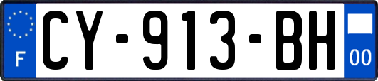 CY-913-BH
