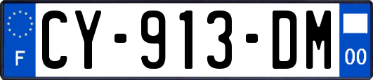 CY-913-DM