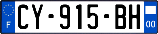 CY-915-BH