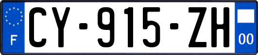 CY-915-ZH