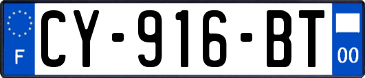 CY-916-BT