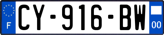 CY-916-BW