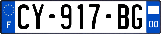 CY-917-BG