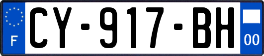 CY-917-BH