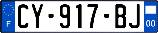 CY-917-BJ