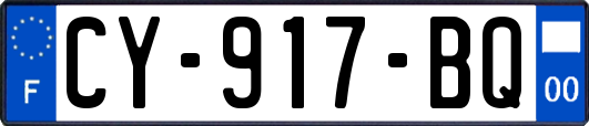 CY-917-BQ