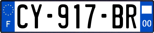 CY-917-BR