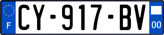 CY-917-BV