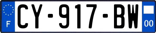CY-917-BW