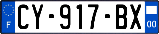 CY-917-BX