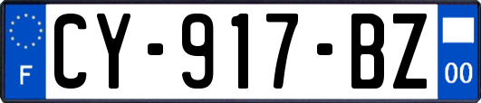 CY-917-BZ