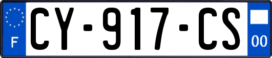 CY-917-CS