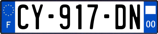 CY-917-DN