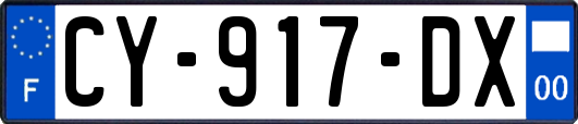 CY-917-DX