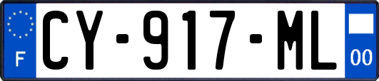 CY-917-ML