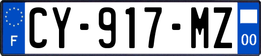 CY-917-MZ