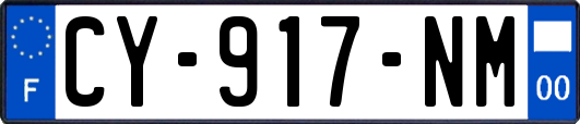 CY-917-NM