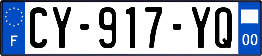 CY-917-YQ
