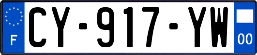 CY-917-YW