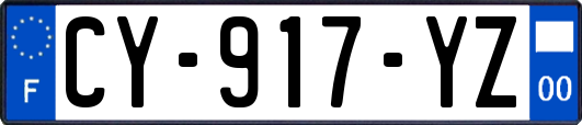 CY-917-YZ