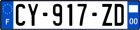 CY-917-ZD