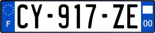 CY-917-ZE