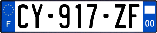 CY-917-ZF