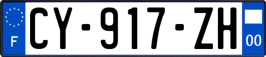 CY-917-ZH