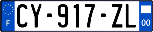 CY-917-ZL