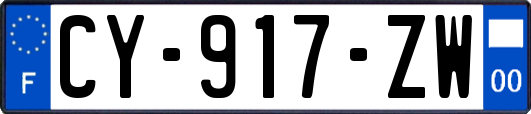 CY-917-ZW