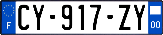 CY-917-ZY