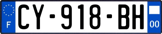CY-918-BH