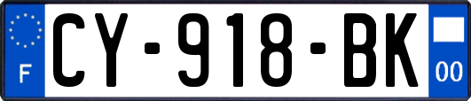CY-918-BK