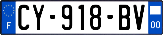 CY-918-BV