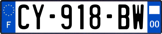 CY-918-BW