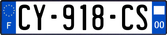 CY-918-CS
