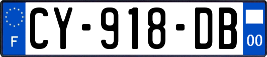 CY-918-DB